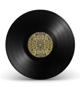 vinyl